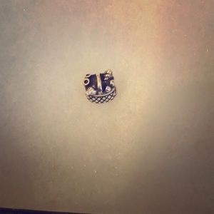 Pandora charm